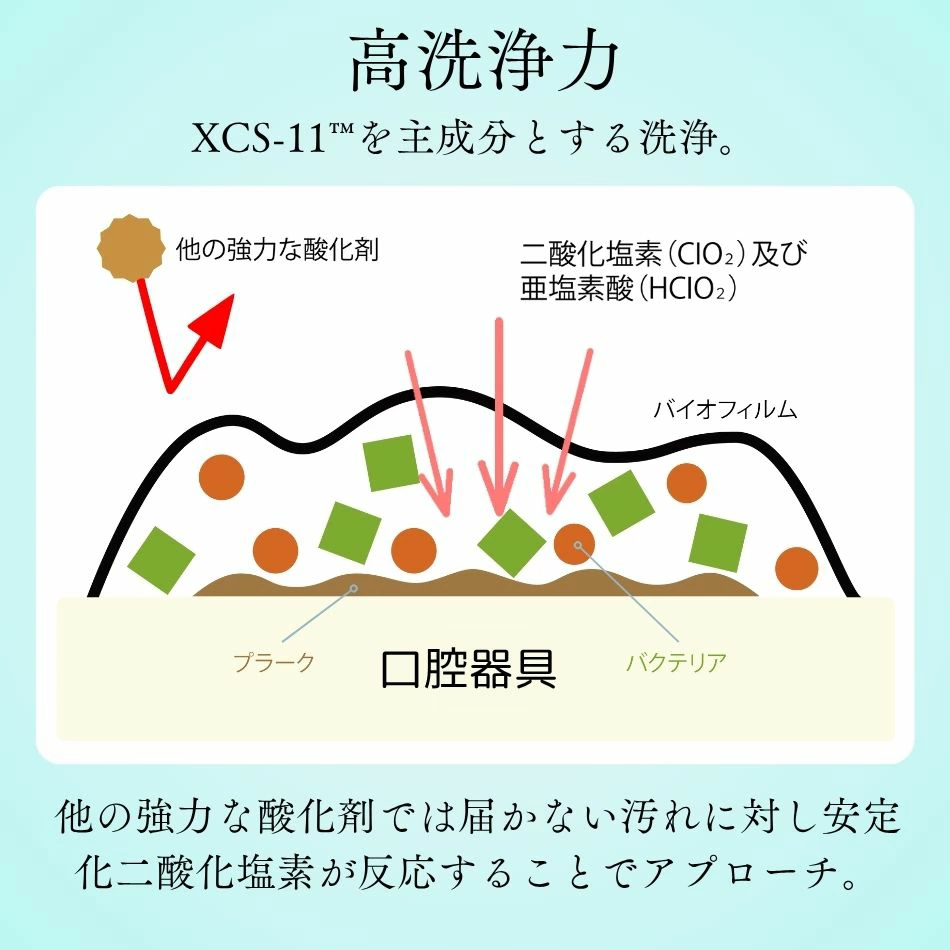 �ǥ���㡼�����å��� 06