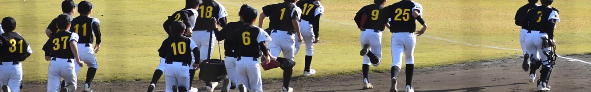 フルサイズ画像