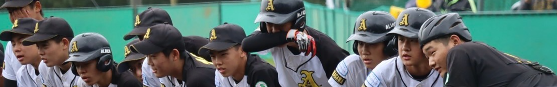 フルサイズ画像